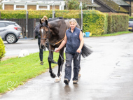 WG031025-44 - Jaramillo